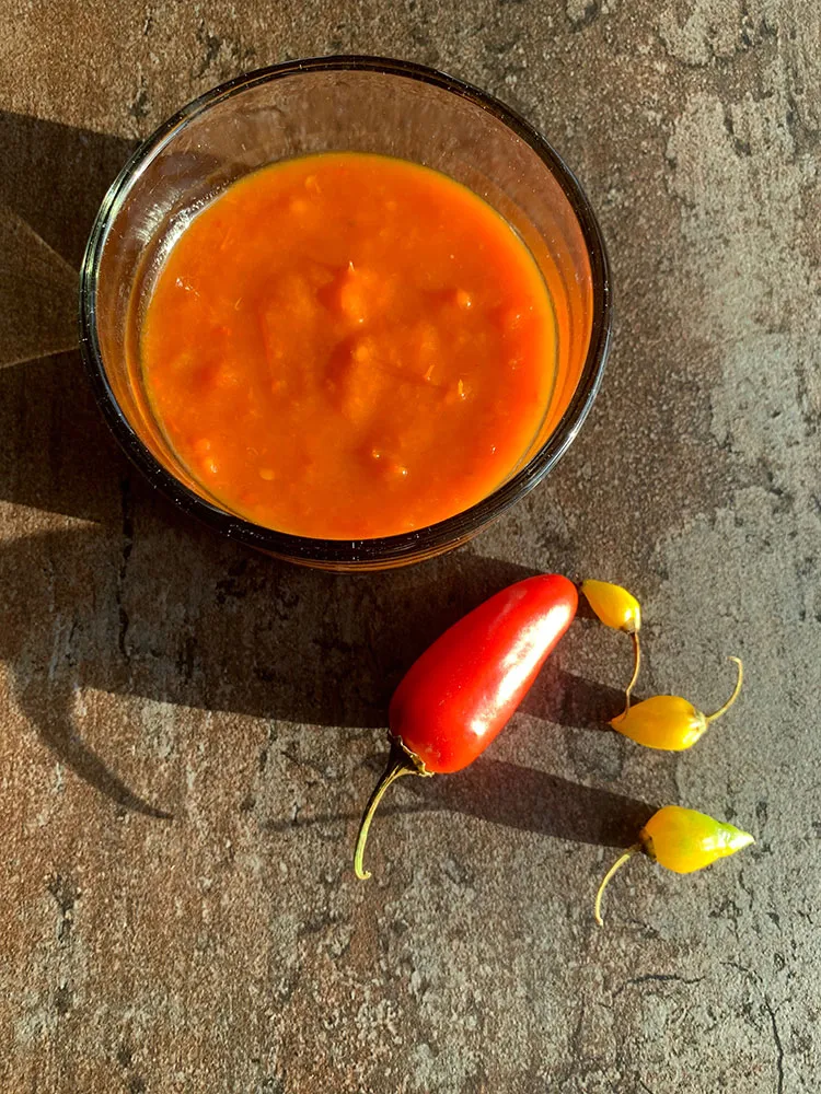 En glasskål fyldt med stærk, orange chili sauce med habanero. Ved siden af skålen ligger en rød chili og tre små gule habanero-chilier på en rustik overflade i stærkt sollys.